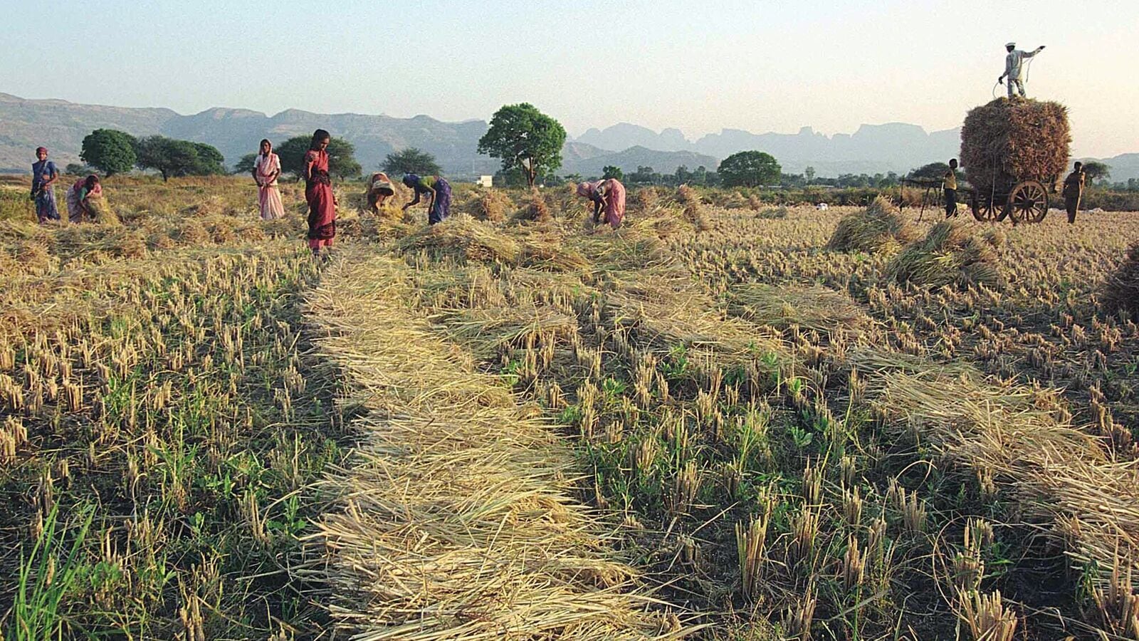 The multi-sectoral rural prosperity and resilience program will be launched in partnership with states.